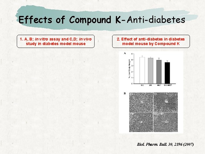 Effects of Compound K-Anti-diabetes 1. A, B; in vitro assay and C, D; in