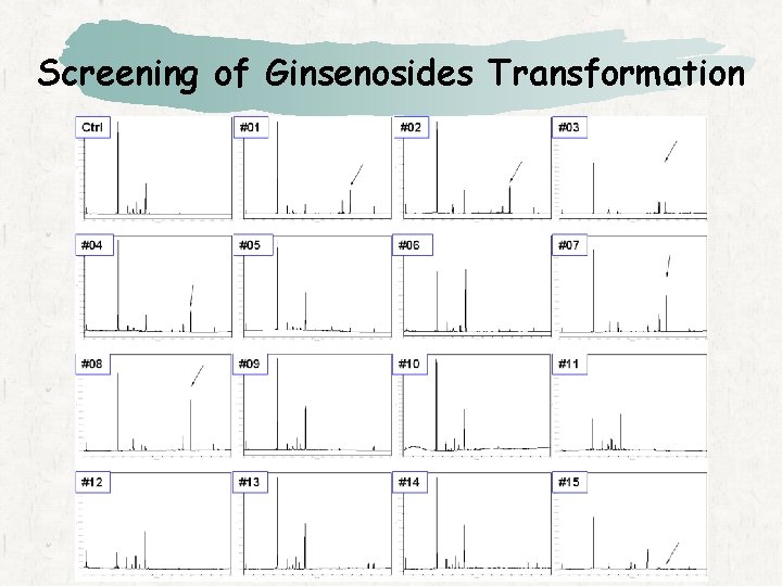 Screening of Ginsenosides Transformation 