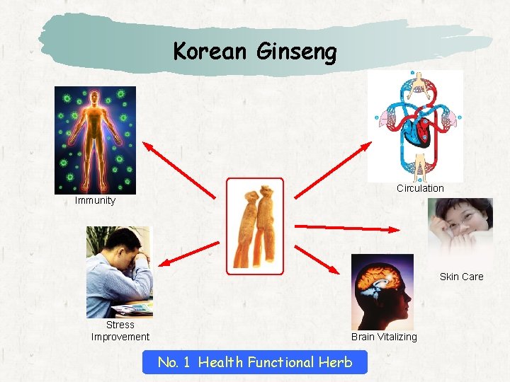 Korean Ginseng Circulation Immunity Skin Care Stress Improvement Brain Vitalizing No. 1 Health Functional