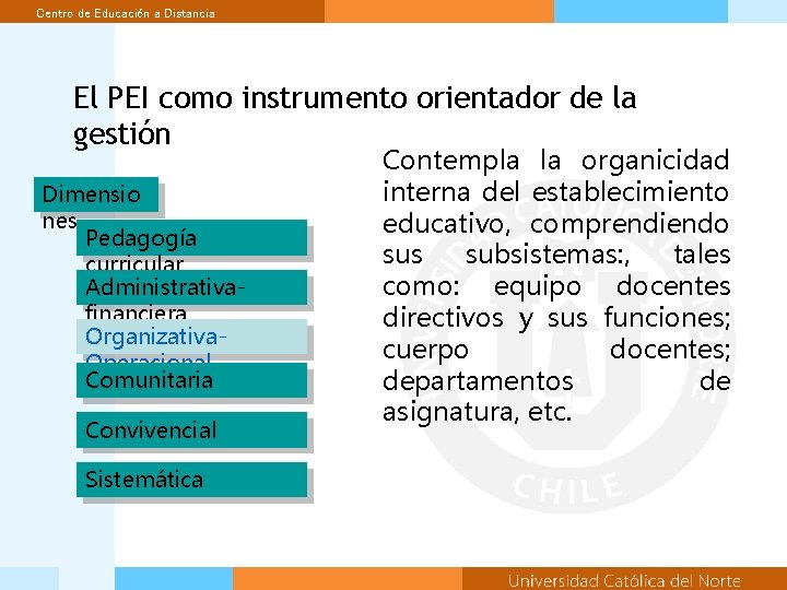 Centro de Educación a Distancia El PEI como instrumento orientador de la gestión Dimensio
