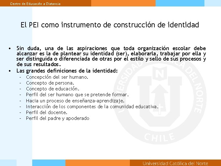 Centro de Educación a Distancia El PEI como instrumento de construcción de identidad •