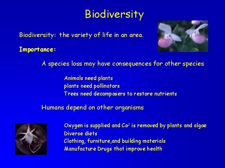 Biodiversity: the variety of life in an area. Importance: A species loss may have