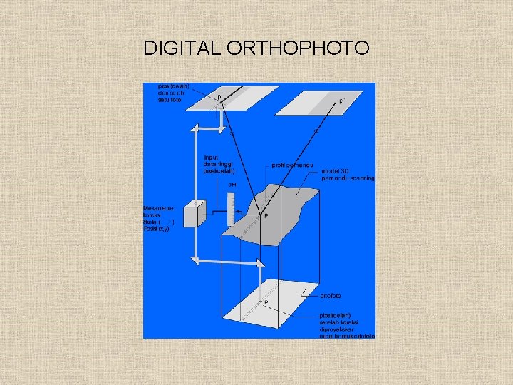 DIGITAL ORTHOPHOTO 