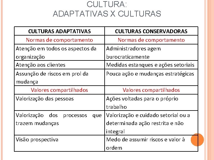 CULTURA: ADAPTATIVAS X CULTURAS ADAPTATIVAS Normas de comportamento Atenção em todos os aspectos da