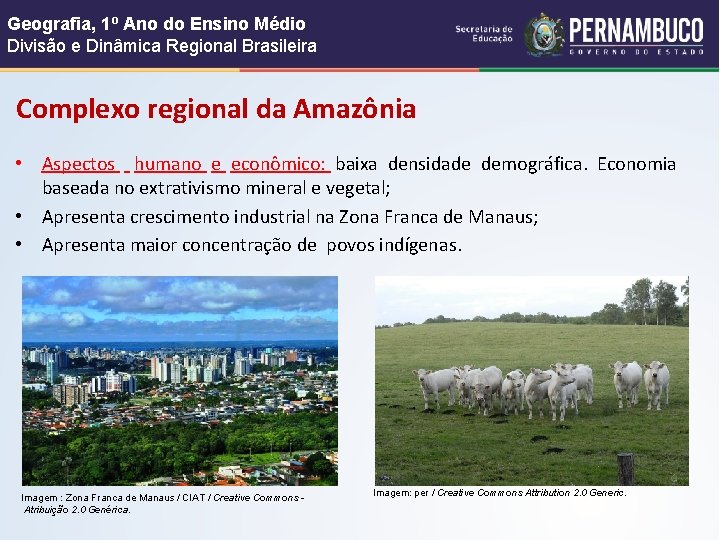 Geografia, 1º Ano do Ensino Médio Divisão e Dinâmica Regional Brasileira Complexo regional da
