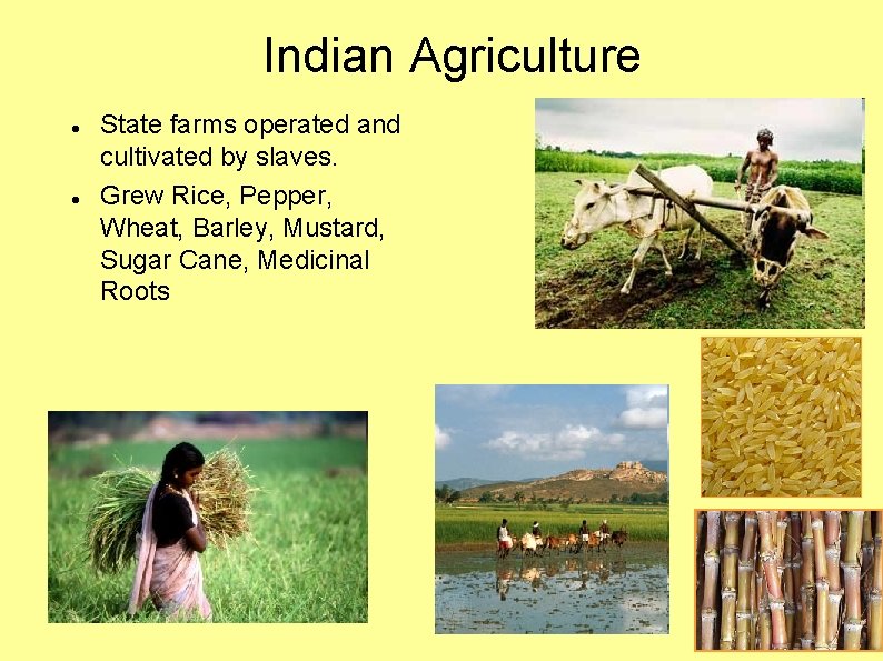 Indian Agriculture State farms operated and cultivated by slaves. Grew Rice, Pepper, Wheat, Barley,
