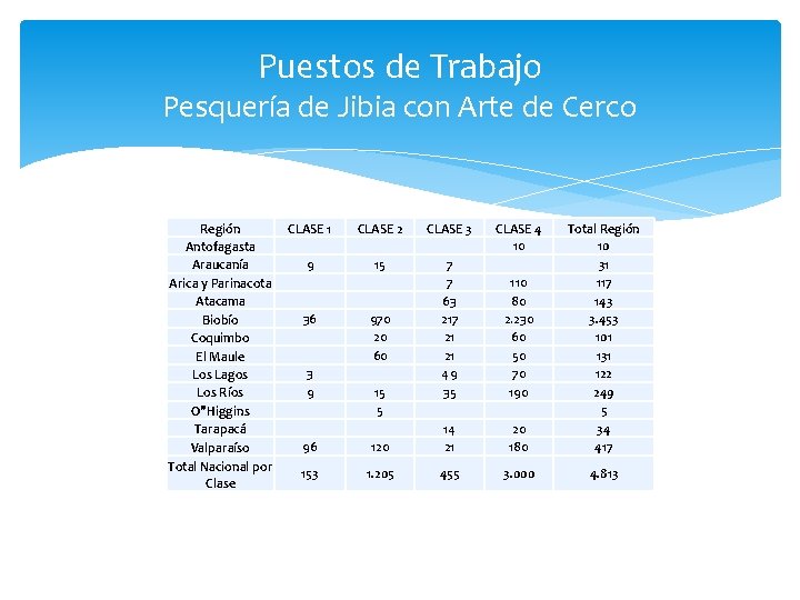 Puestos de Trabajo Pesquería de Jibia con Arte de Cerco Región Antofagasta Araucanía Arica