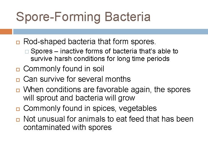 Spore-Forming Bacteria Rod-shaped bacteria that form spores. � Spores – inactive forms of bacteria Spore-Forming Bacteria Rod-shaped bacteria that form spores. � Spores – inactive forms of bacteria