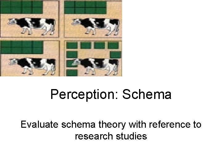 Perception: Schema Evaluate schema theory with reference to research studies 
