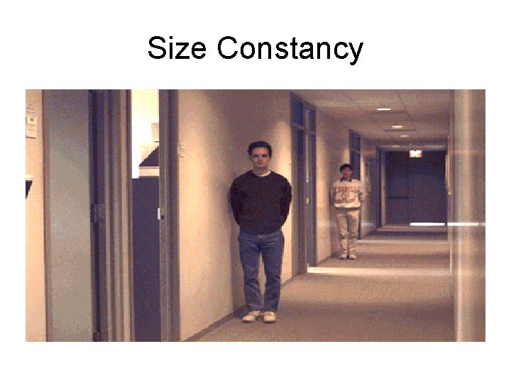 Size Constancy 