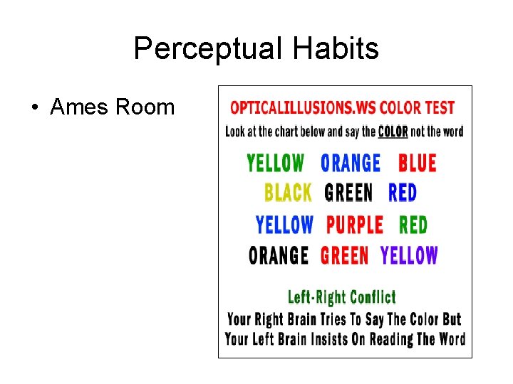 Perceptual Habits • Ames Room 