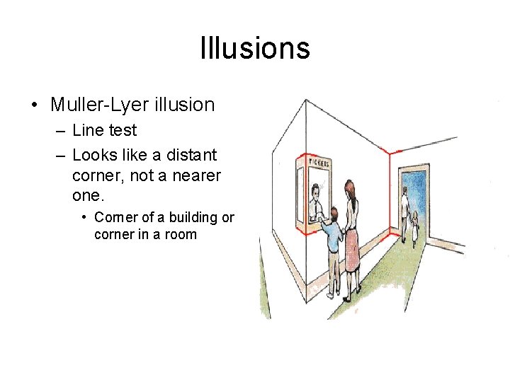 Illusions • Muller-Lyer illusion – Line test – Looks like a distant corner, not