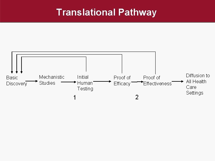 Translational Pathway Basic Discovery Mechanistic Studies Initial Human Testing 1 Proof of Efficacy Proof