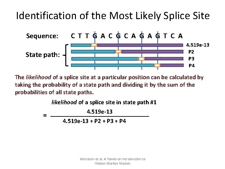 Identification of the Most Likely Splice Site Sequence: C T T G A C