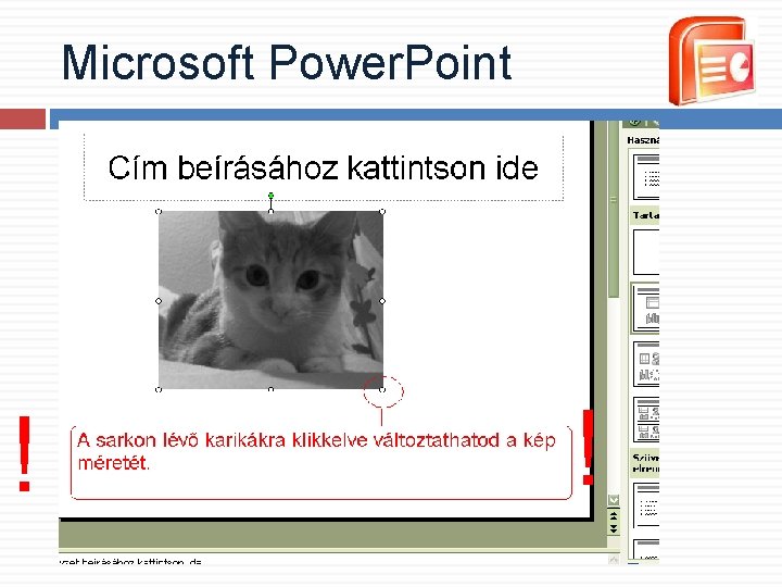Microsoft Power. Point ! ! Microsoft Power. Point ! !