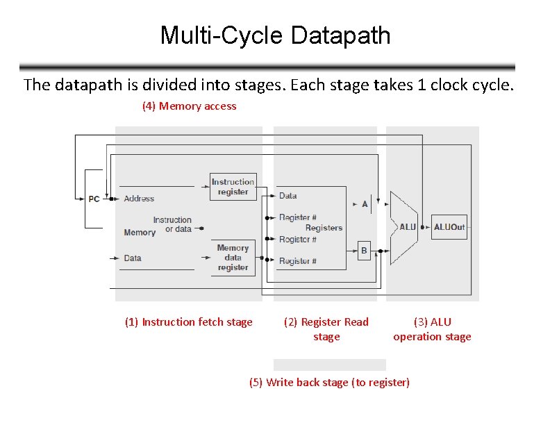 Multi-Cycle Datapath The datapath is divided into stages. Each stage takes 1 clock cycle.
