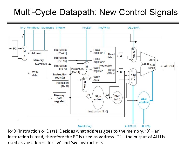 Multi-Cycle Datapath: New Control Signals Ior. D (Instruction or Data): Decides what address goes