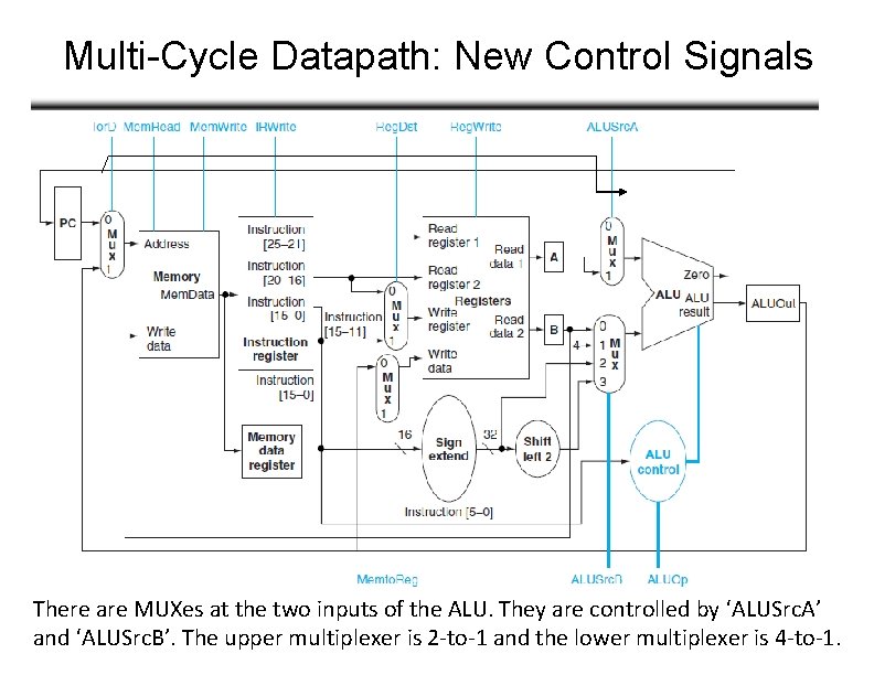 Multi-Cycle Datapath: New Control Signals There are MUXes at the two inputs of the