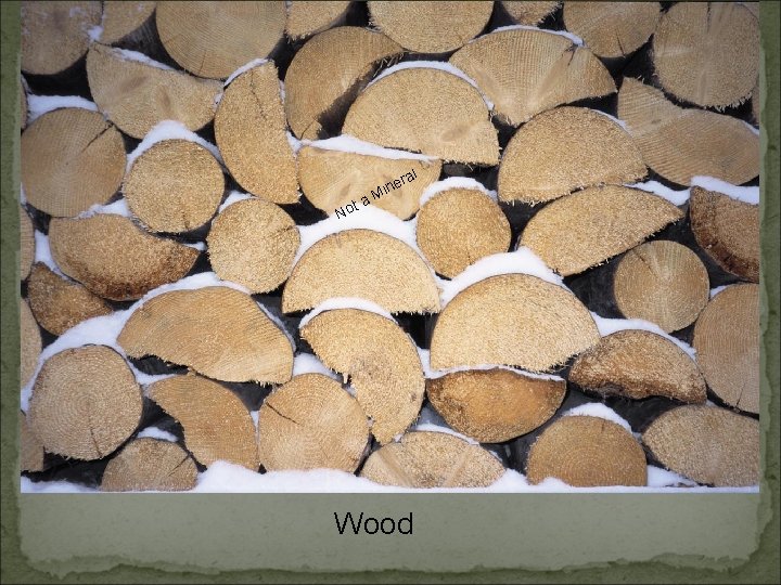 ta No l era n i M Wood 