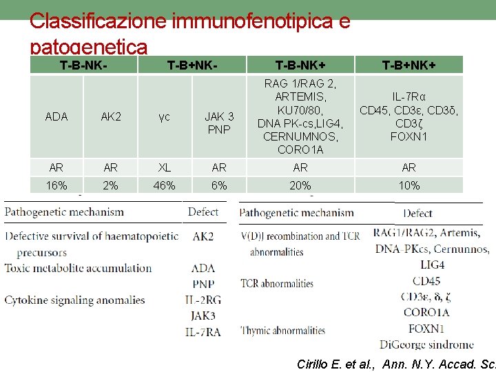 Classificazione immunofenotipica e patogenetica T-B-NK- T-B+NK- T-B-NK+ T-B+NK+ RAG 1/RAG 2, ARTEMIS, KU 70/80,