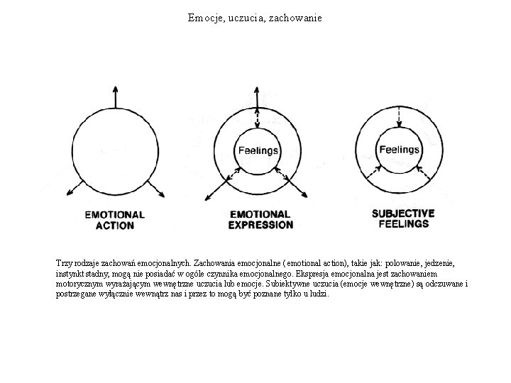 Emocje, uczucia, zachowanie Trzy rodzaje zachowań emocjonalnych. Zachowania emocjonalne ( emotional action), takie jak: