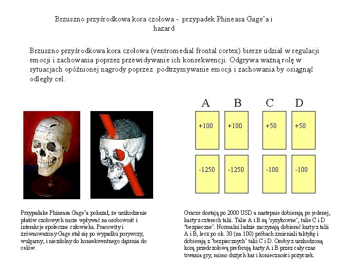 Brzuszno przyśrodkowa kora czołowa - przypadek Phineasa Gage’a i hazard Brzuszno przyśrodkowa kora czołowa