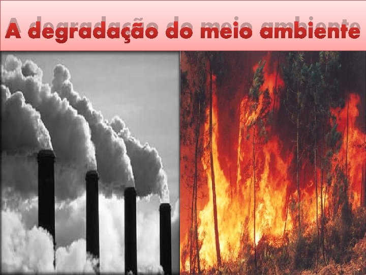 A degradação do meio ambiente 