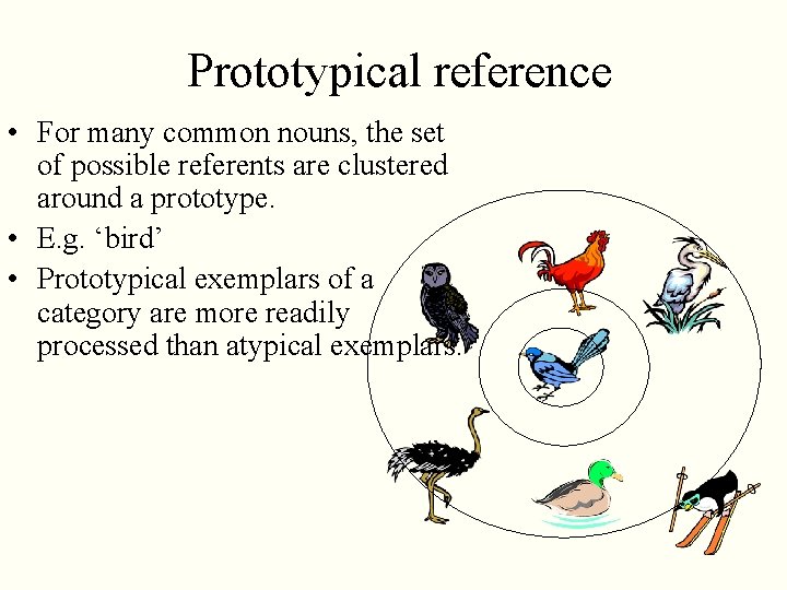 Prototypical reference • For many common nouns, the set of possible referents are clustered