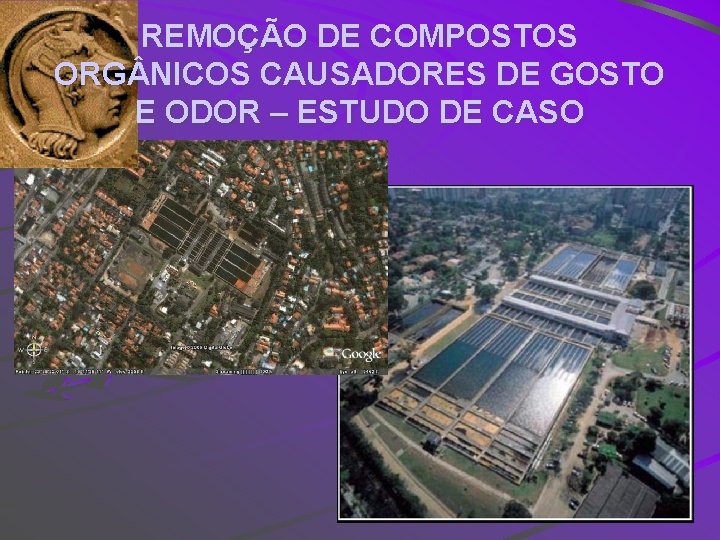 REMOÇÃO DE COMPOSTOS ORG NICOS CAUSADORES DE GOSTO E ODOR – ESTUDO DE CASO