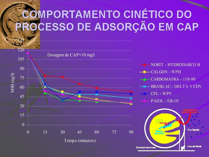 COMPORTAMENTO CINÉTICO DO PROCESSO DE ADSORÇÃO EM CAP Transferência externa de massa Difusão porosa