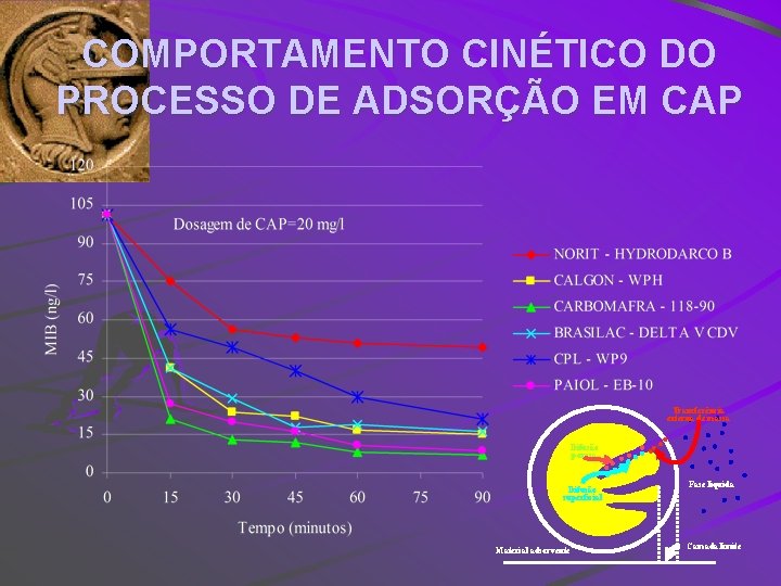 COMPORTAMENTO CINÉTICO DO PROCESSO DE ADSORÇÃO EM CAP Transferência externa de massa Difusão porosa