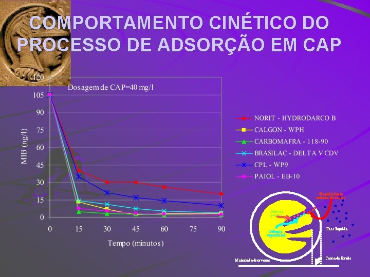 COMPORTAMENTO CINÉTICO DO PROCESSO DE ADSORÇÃO EM CAP Transferência externa de massa Difusão porosa