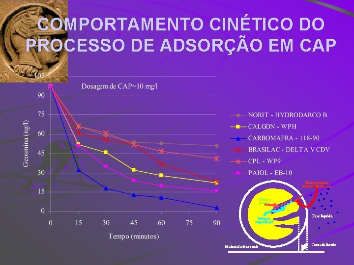 COMPORTAMENTO CINÉTICO DO PROCESSO DE ADSORÇÃO EM CAP Transferência externa de massa Difusão porosa