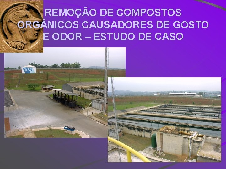 REMOÇÃO DE COMPOSTOS ORG NICOS CAUSADORES DE GOSTO E ODOR – ESTUDO DE CASO