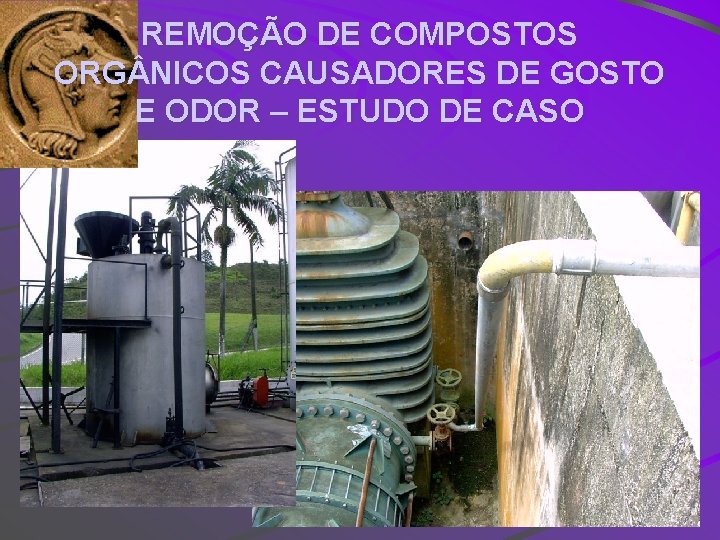 REMOÇÃO DE COMPOSTOS ORG NICOS CAUSADORES DE GOSTO E ODOR – ESTUDO DE CASO