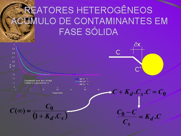 REATORES HETEROGÊNEOS ACÚMULO DE CONTAMINANTES EM FASE SÓLIDA x C C* 