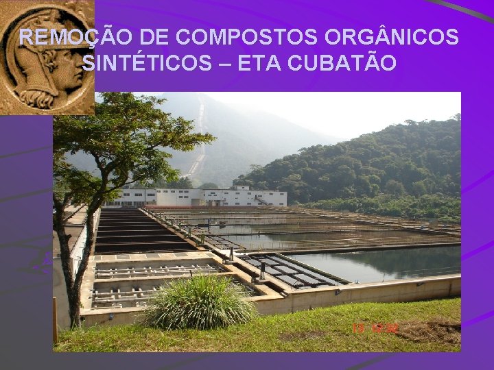 REMOÇÃO DE COMPOSTOS ORG NICOS SINTÉTICOS – ETA CUBATÃO 