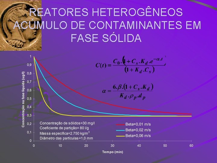 REATORES HETEROGÊNEOS ACÚMULO DE CONTAMINANTES EM FASE SÓLIDA 