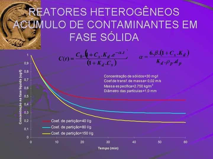 REATORES HETEROGÊNEOS ACÚMULO DE CONTAMINANTES EM FASE SÓLIDA 
