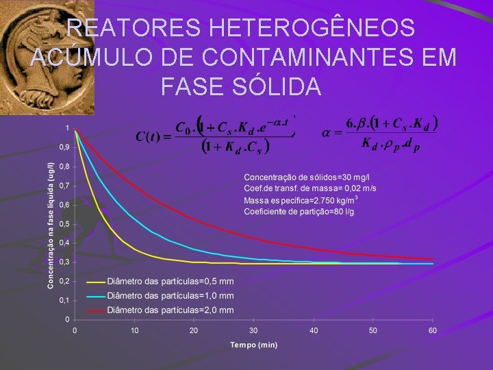 REATORES HETEROGÊNEOS ACÚMULO DE CONTAMINANTES EM FASE SÓLIDA 