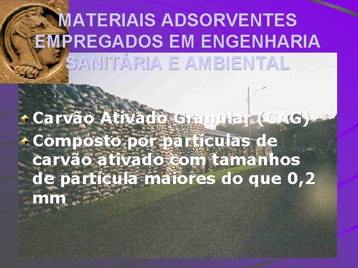 MATERIAIS ADSORVENTES EMPREGADOS EM ENGENHARIA SANITÁRIA E AMBIENTAL Carvão Ativado Granular (CAG) Composto por