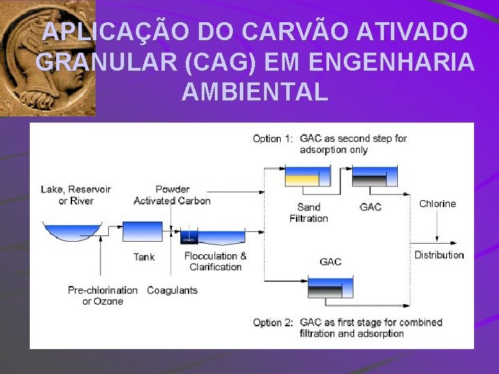 APLICAÇÃO DO CARVÃO ATIVADO GRANULAR (CAG) EM ENGENHARIA AMBIENTAL 