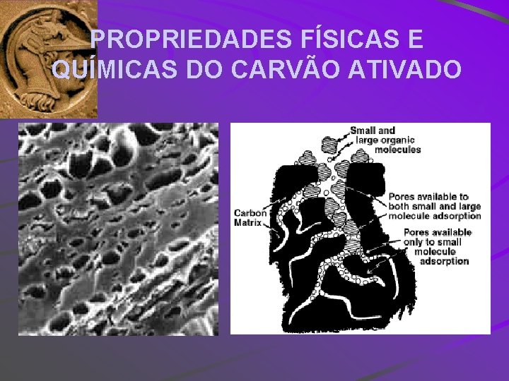 PROPRIEDADES FÍSICAS E QUÍMICAS DO CARVÃO ATIVADO 