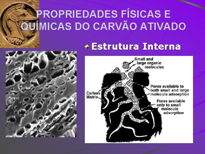 PROPRIEDADES FÍSICAS E QUÍMICAS DO CARVÃO ATIVADO Estrutura Interna 