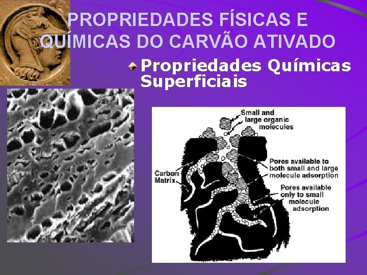 PROPRIEDADES FÍSICAS E QUÍMICAS DO CARVÃO ATIVADO Propriedades Químicas Superficiais 