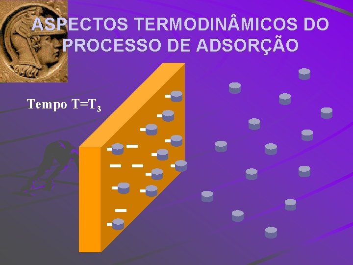 ASPECTOS TERMODIN MICOS DO PROCESSO DE ADSORÇÃO Tempo T=T 3 