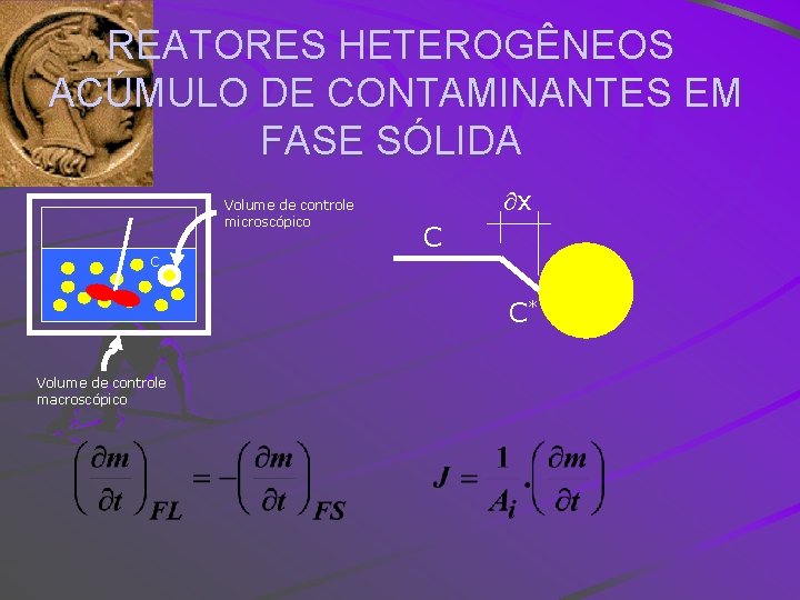 REATORES HETEROGÊNEOS ACÚMULO DE CONTAMINANTES EM FASE SÓLIDA Volume de controle microscópico x C