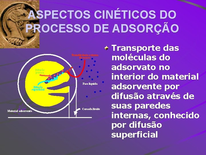 ASPECTOS CINÉTICOS DO PROCESSO DE ADSORÇÃO Transferência externa de massa Difusão porosa Fase líquida