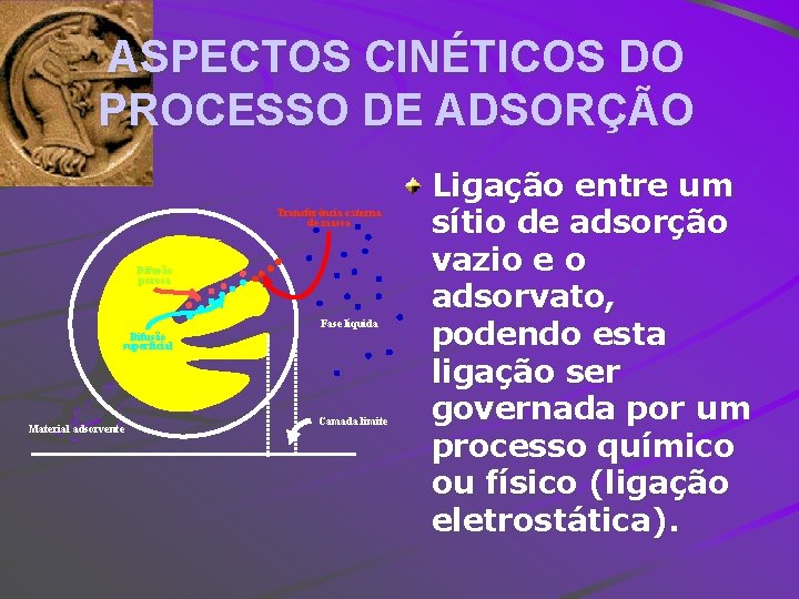 ASPECTOS CINÉTICOS DO PROCESSO DE ADSORÇÃO Transferência externa de massa Difusão porosa Fase líquida