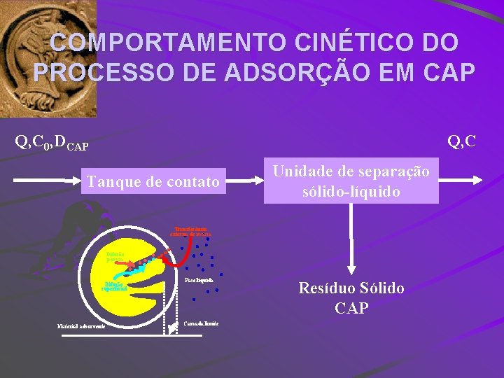 COMPORTAMENTO CINÉTICO DO PROCESSO DE ADSORÇÃO EM CAP Q, C 0, DCAP Q, C